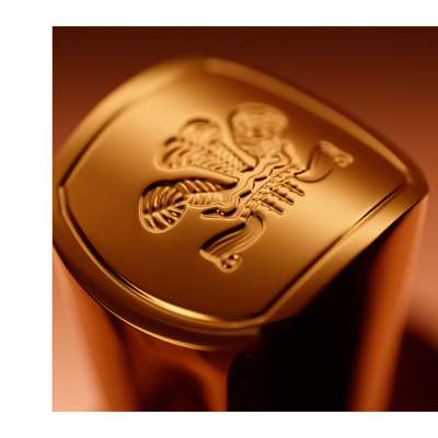 Close up of the golden top of a cap with an embossed symbol depicting a bird with wings and tail over a shield-like structure.