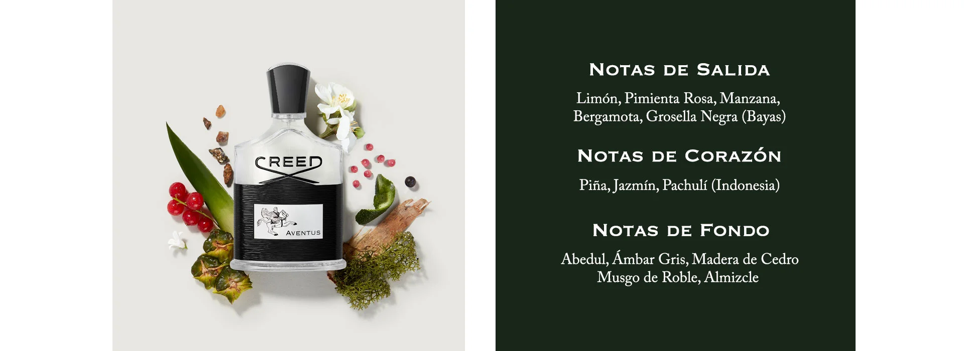 Head Notes: Lemon, Pink Pepper, Apple, Bergamot, Blackcurrant (Berries). Heart Notes: Pineapple, Jasmine, Patchouli (Indonesia). Base Notes: Birch, Ambergris, Cedarwood, Oakmoss, Musk.